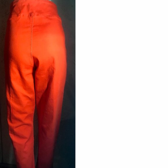 DG By Diane Gilman  Orange Stretch Pants XL - Picture 5 of 8
